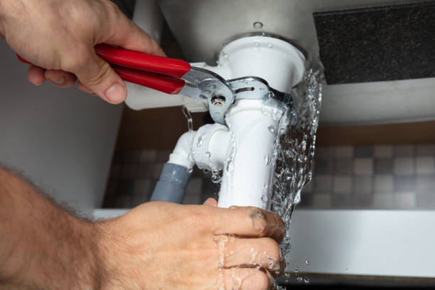 Best Ceiling water damage repair  in Cedar Glen Lakes, NJ