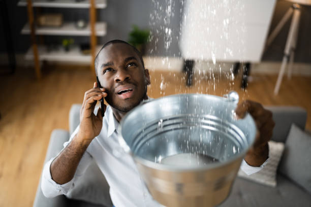 Best Carpet water damage restoration  in Cedar Glen Lakes, NJ