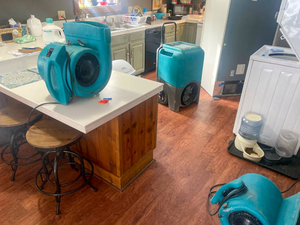 Best Water damage restoration process  in Cedar Glen Lakes, NJ