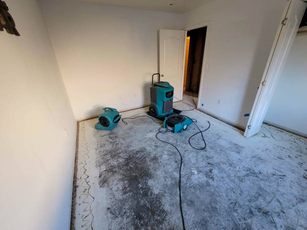 Best Local water damage restoration  in Cedar Glen Lakes, NJ