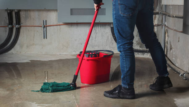 Best Flooded house restoration  in Cedar Glen Lakes, NJ