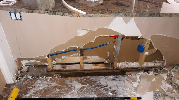 Best Water damage restoration experts  in Cedar Glen Lakes, NJ