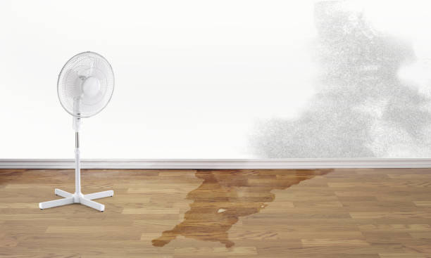 Best Water damage restoration services  in Cedar Glen Lakes, NJ