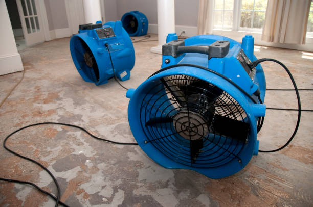 Best Flood restoration services  in Cedar Glen Lakes, NJ