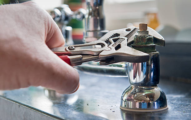 Best Professional water damage repair  in Cedar Glen Lakes, NJ