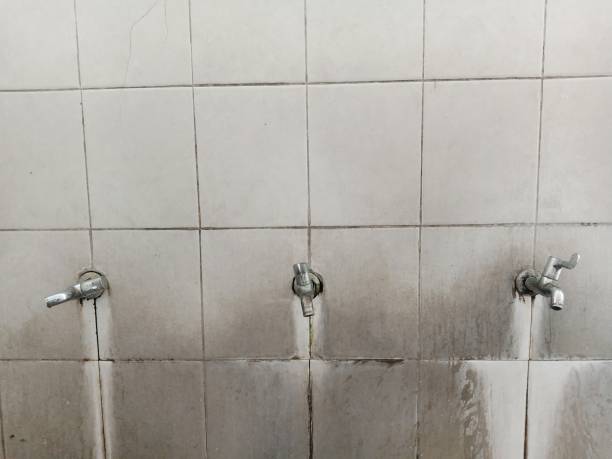 Best 24/7 water damage repair  in Cedar Glen Lakes, NJ