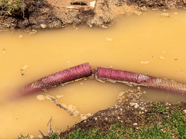 Best Water damage restoration near me  in Cedar Glen Lakes, NJ