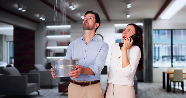 Best Mold removal after water damage  in Cedar Glen Lakes, NJ